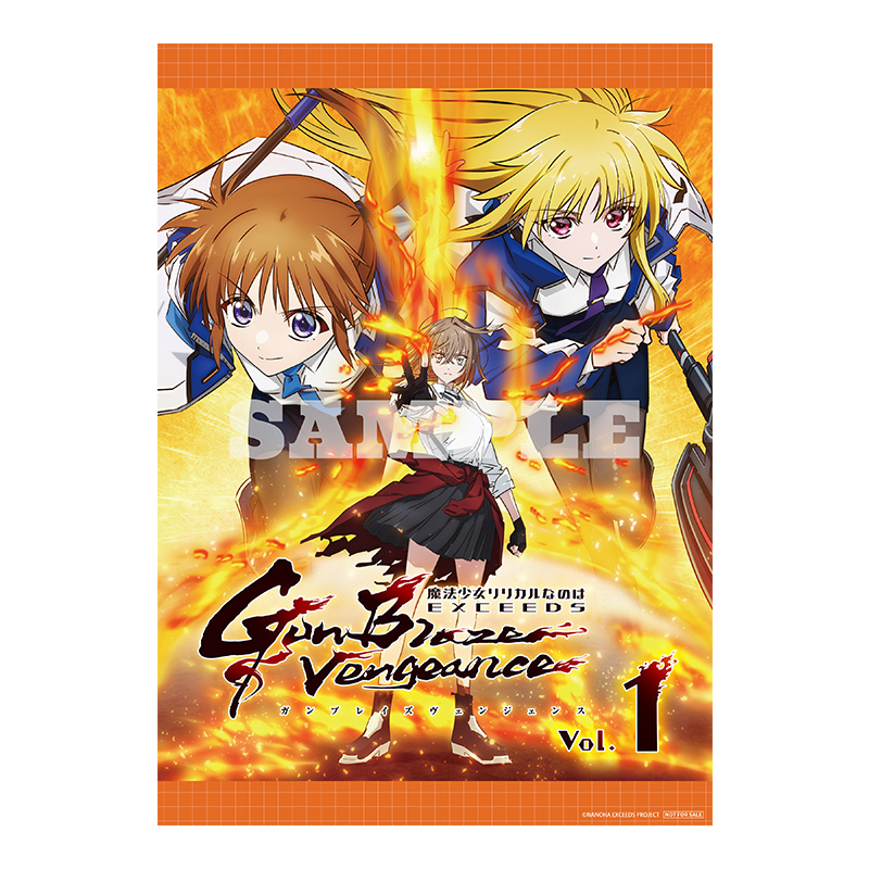 Blu-ray｜完全新作TVアニメーション「魔法少女リリカルなのは EXCEEDS