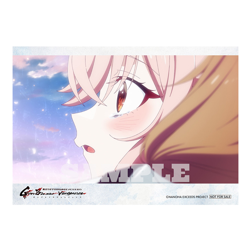 Blu-ray｜完全新作TVアニメーション「魔法少女リリカルなのは EXCEEDS